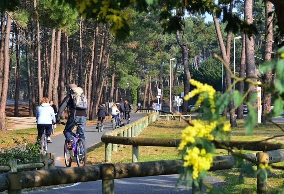 Aire de pique-nique et halte de repos vélos Lacanau Plage sud