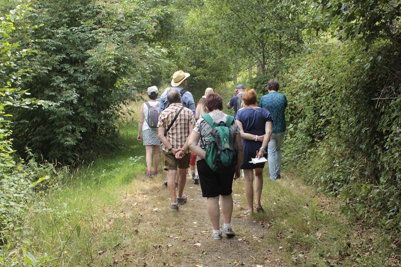 Bocage en baskets