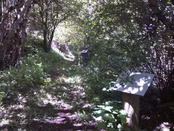 Sentier botanique de St-Léons
