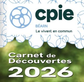 Vie sauvage des petites bêtes - Sortie CPIE
