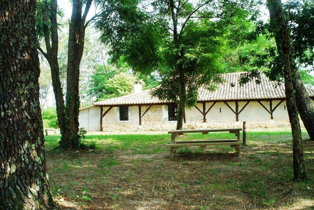 Aire de pique-nique de la Forêt du Vignoble à Beaupouyet