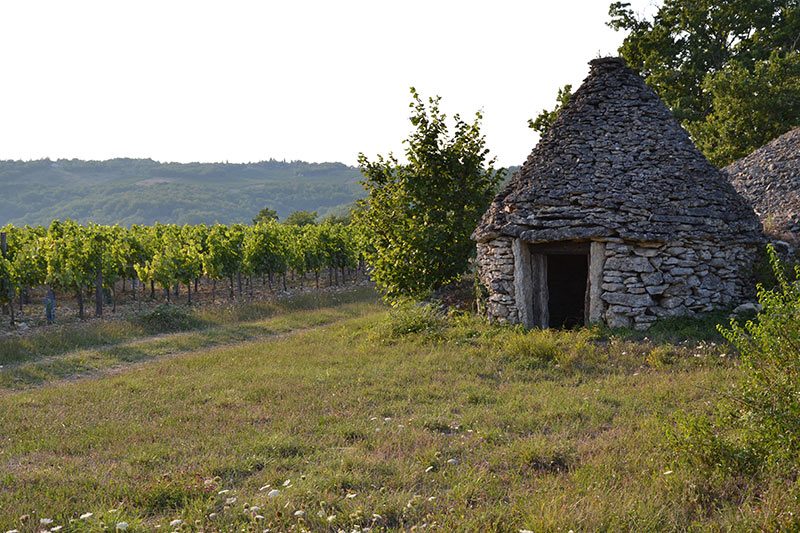 Domaine Campoy