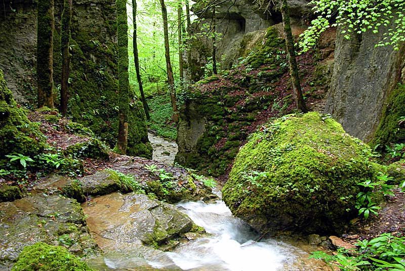 Gorges de la Vingeanne