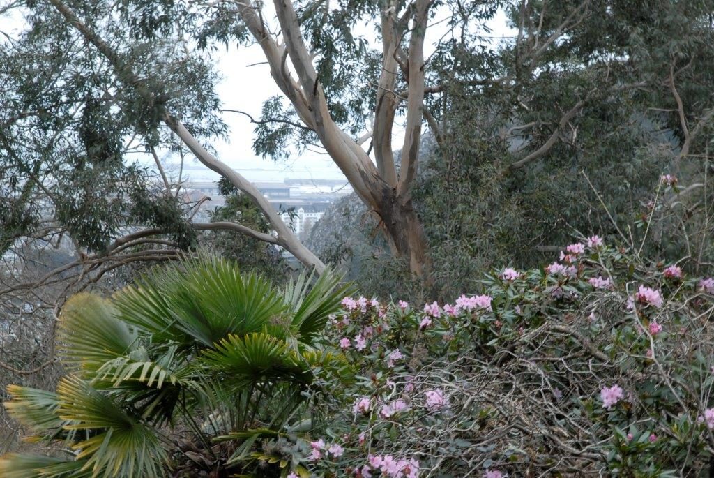 Jardin botanique de la Roche Fauconnière