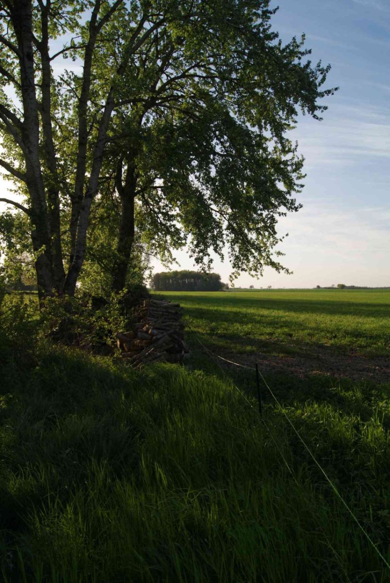 En pleine nature