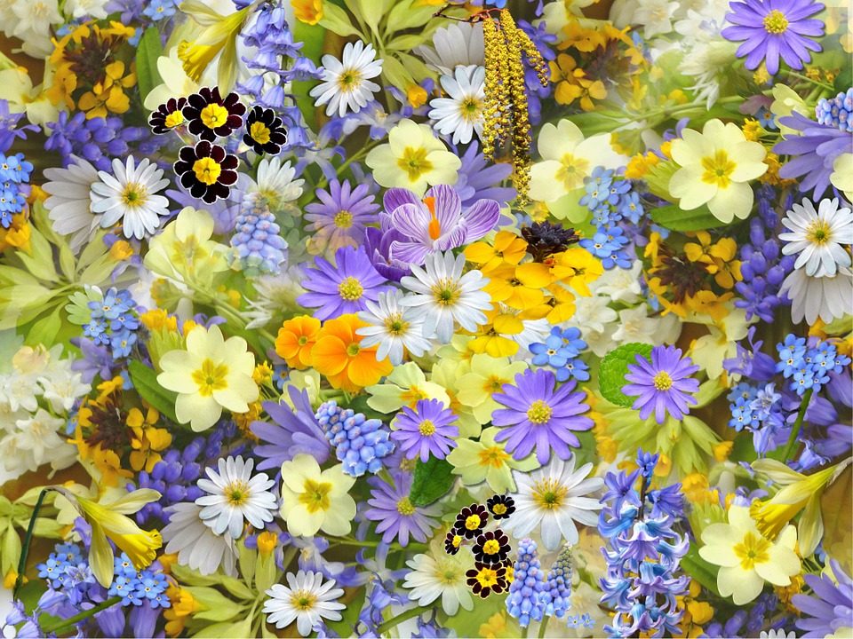 Atelier botanique