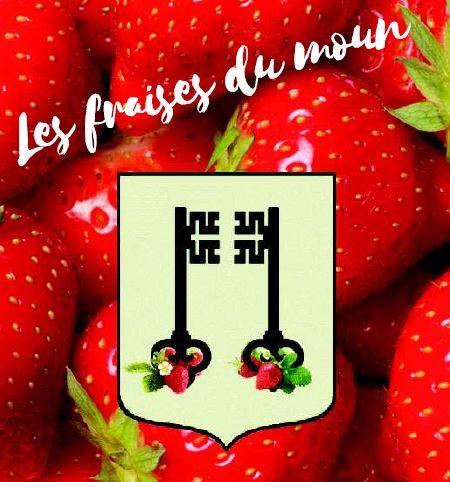 Les Fraises du Moun
