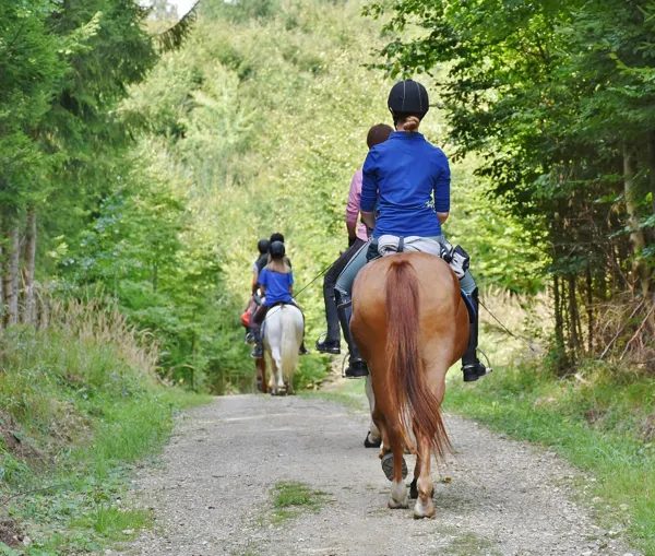 Laguiole Equitation