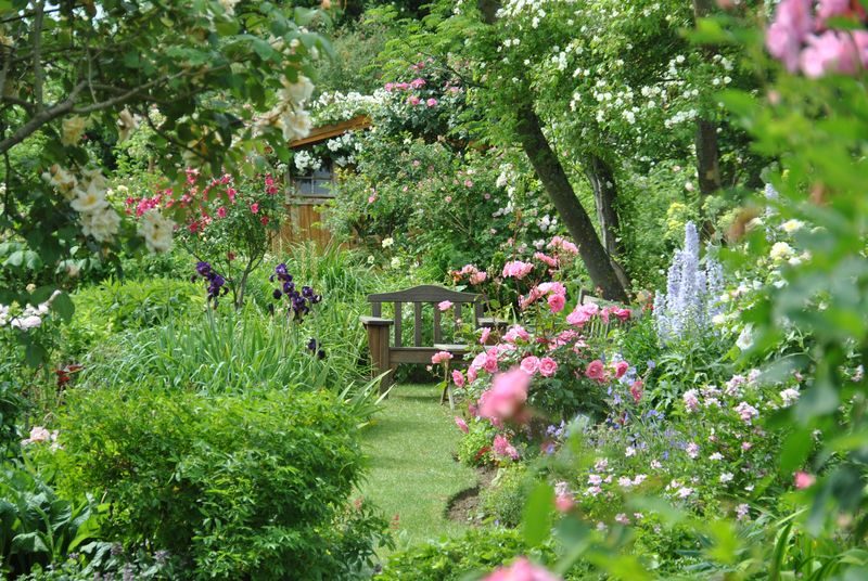 Jardin personnel d'André Eve