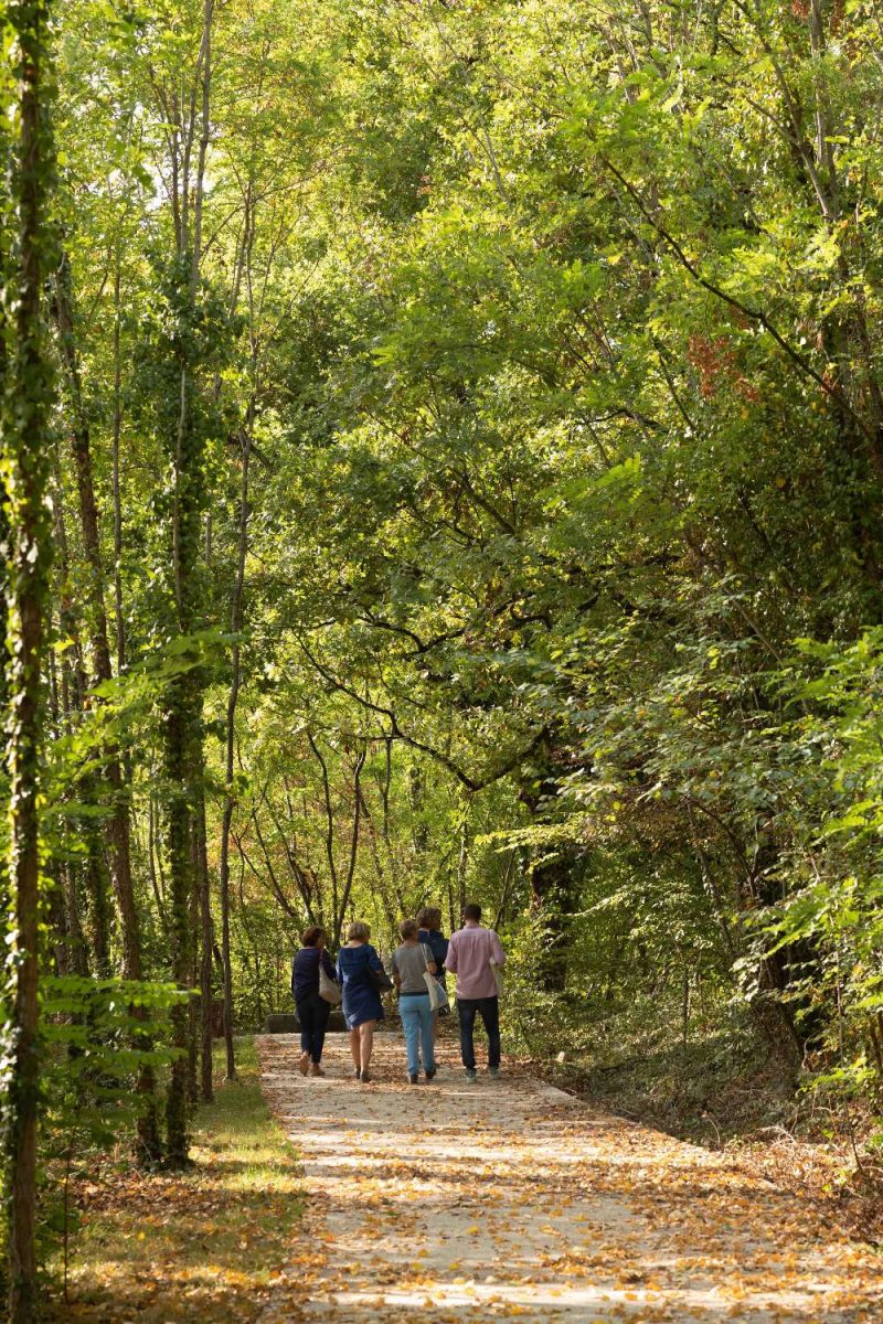 Le parc Ausone