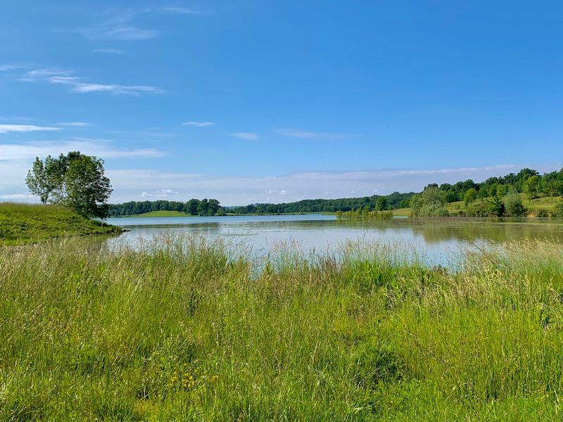 Lac du Brayssou - Pêche et randonnée pédestre.
