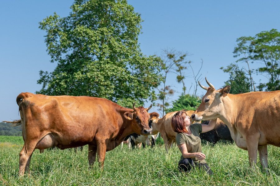 Ferme des 12 vaches