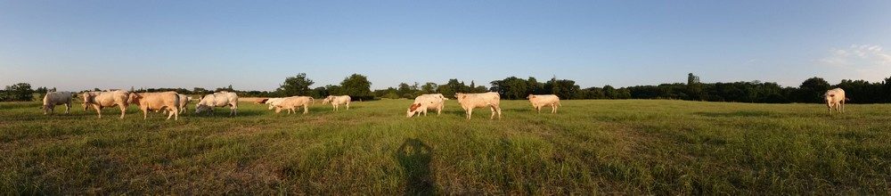 LA FERME LE CLAVEL
