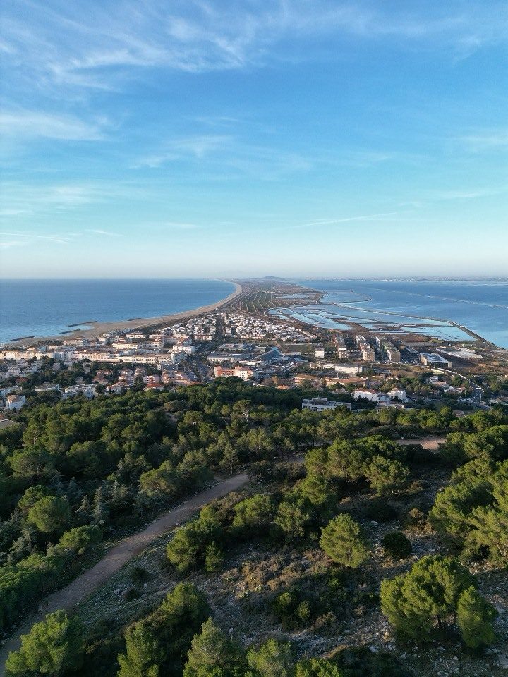 LA FORÊT DES PIERRES BLANCHES