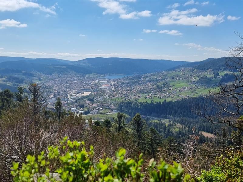 La roche des Bruyères