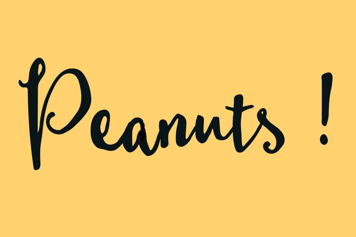 Atelier Peanuts