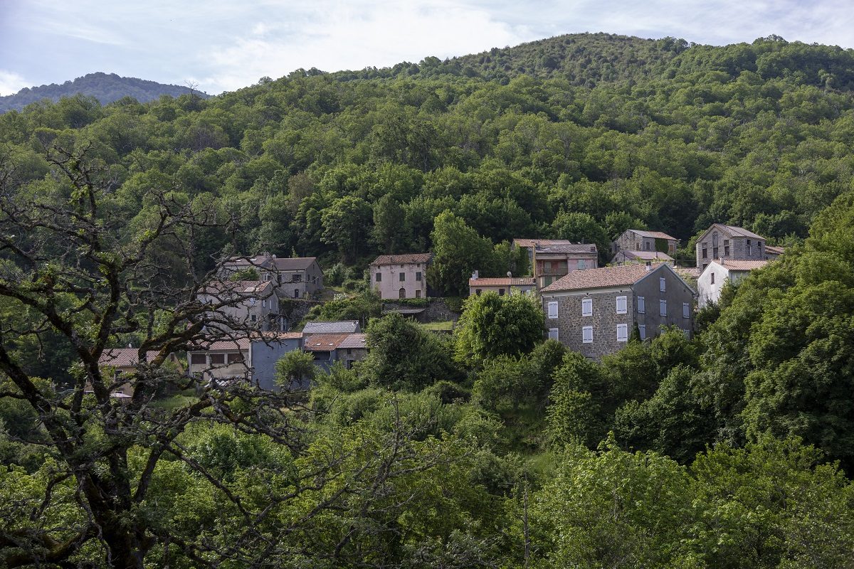 OFFICE DE TOURISME INTERCOMMUNAL CELAVU-PRUNELLI