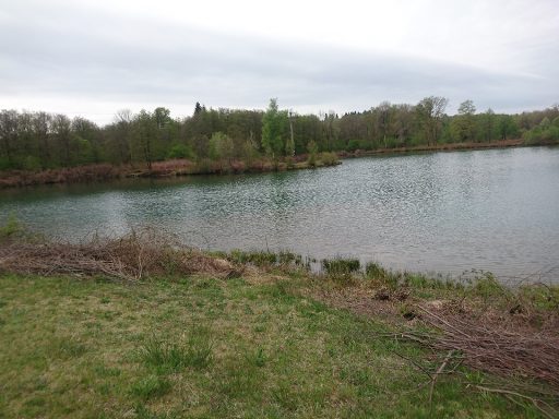Etangs de Passavant