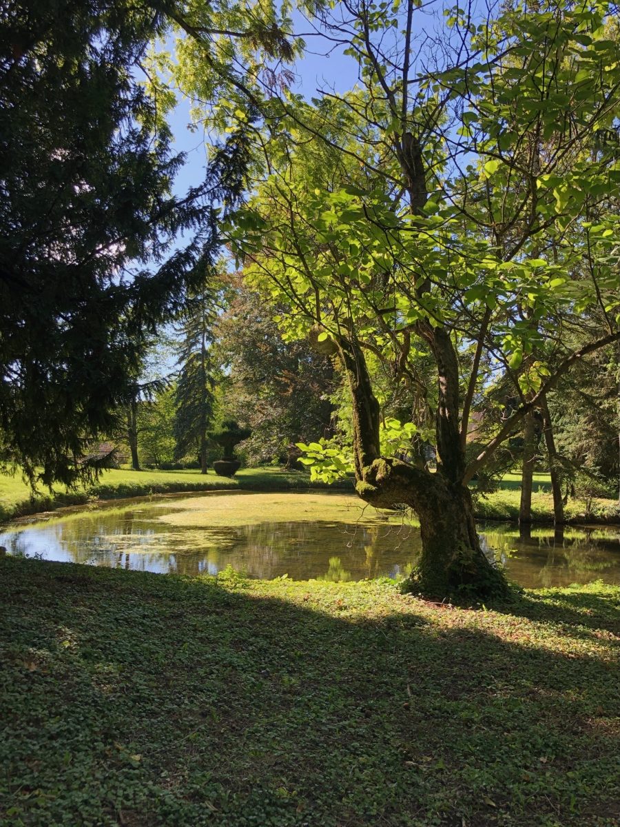 Parc du Château de Combertault