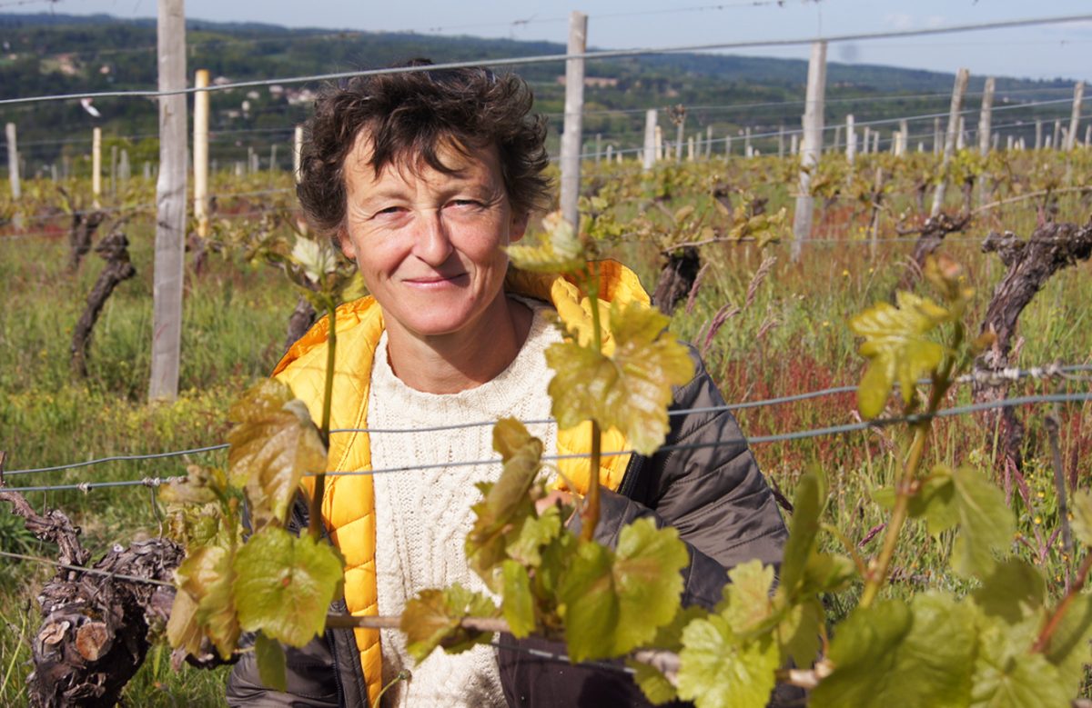 Domaine des Gabies