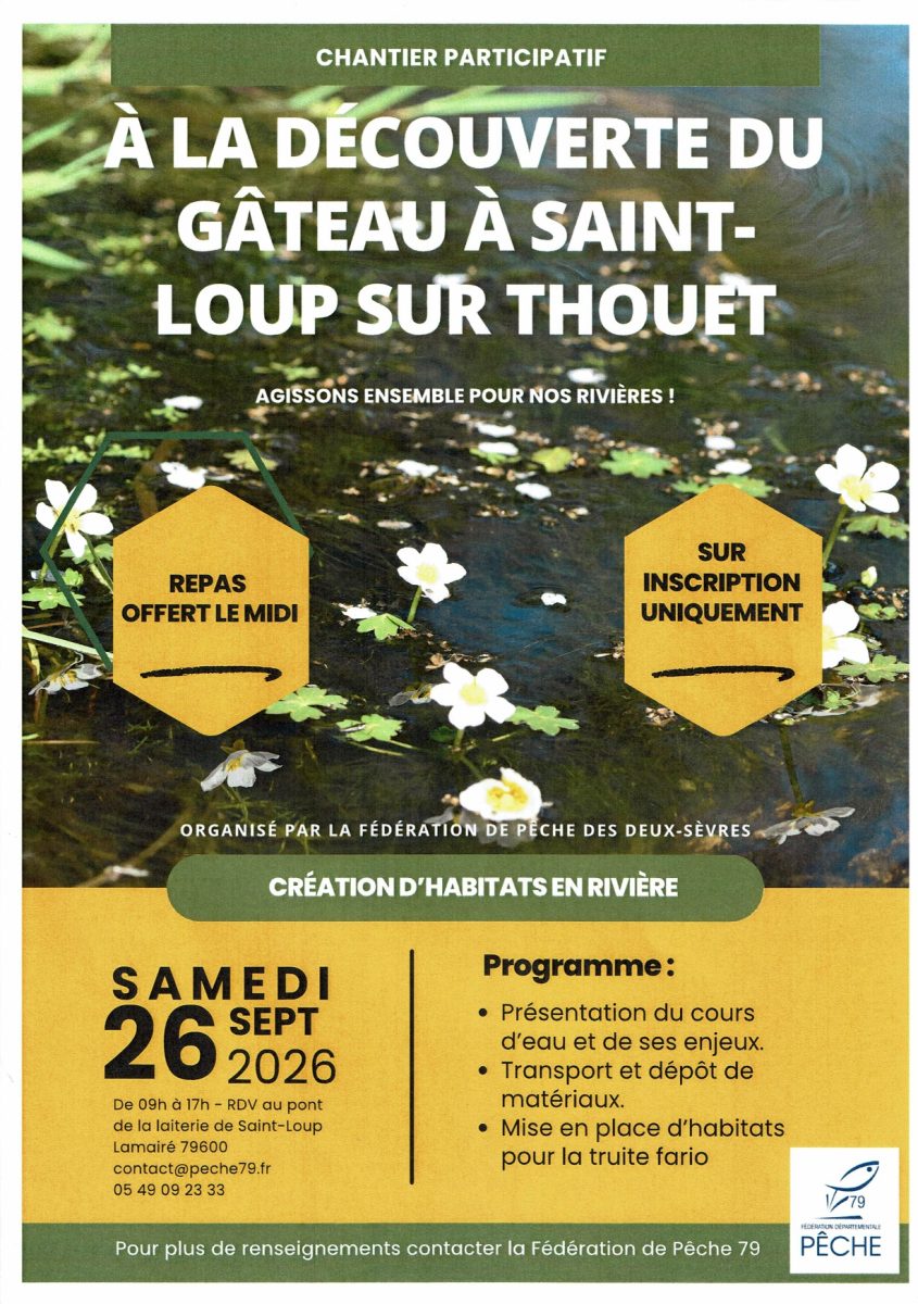 Chantier participatif