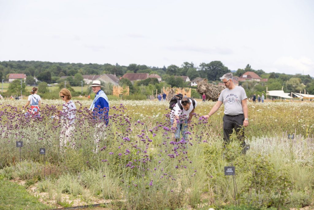 Atelier: La biodiversité près de chez vous - Saline royale