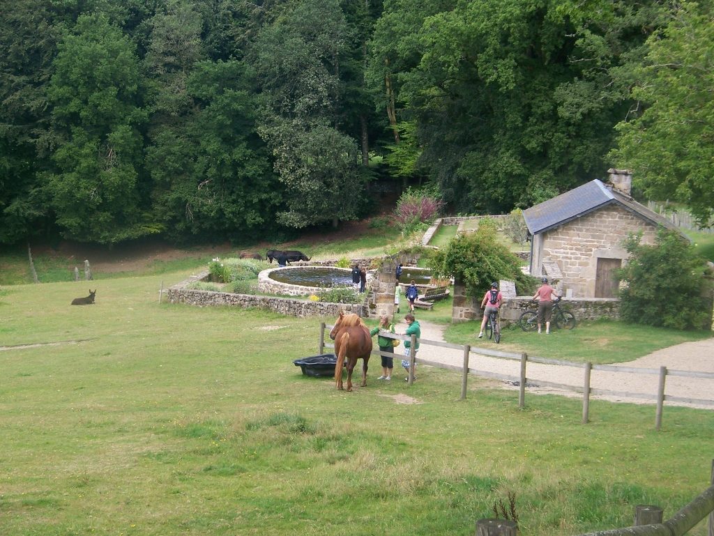 Four à pain de l'île de Vassivière