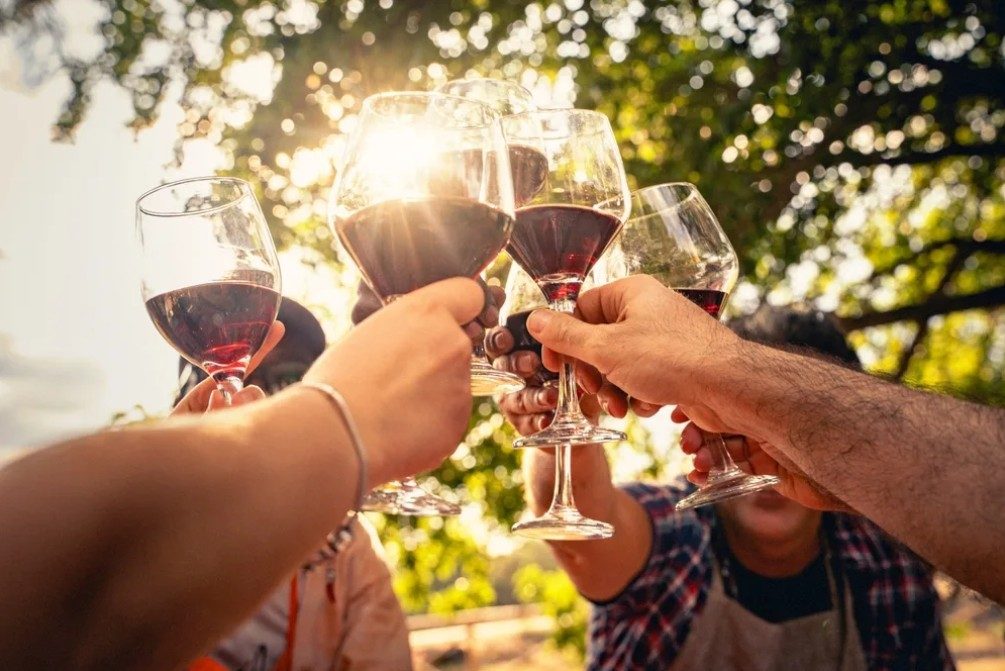 DÉGUSTATION VIGNERONNE AVEC LE DOMAINE BOUDAU