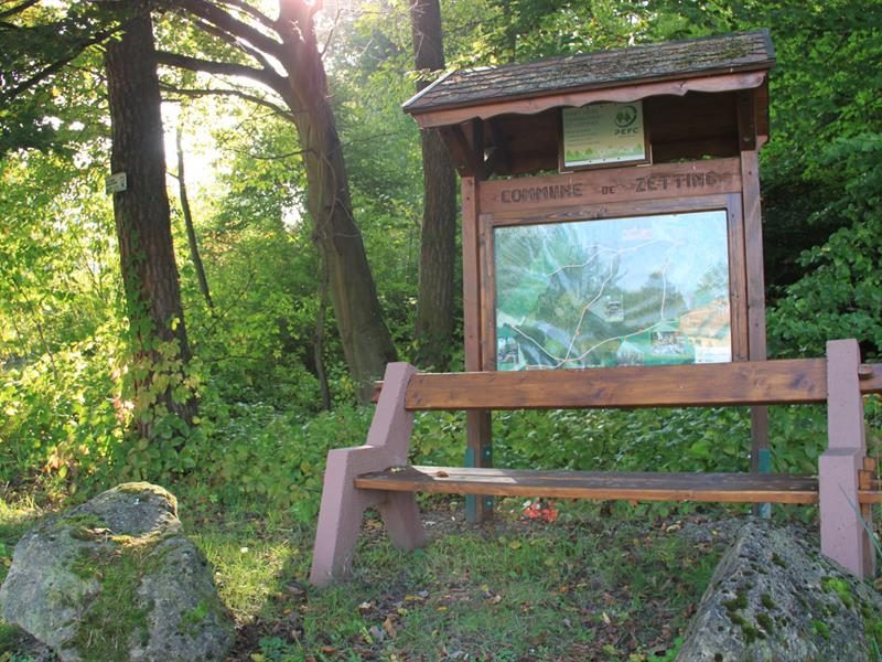 Forêt communale de Zetting