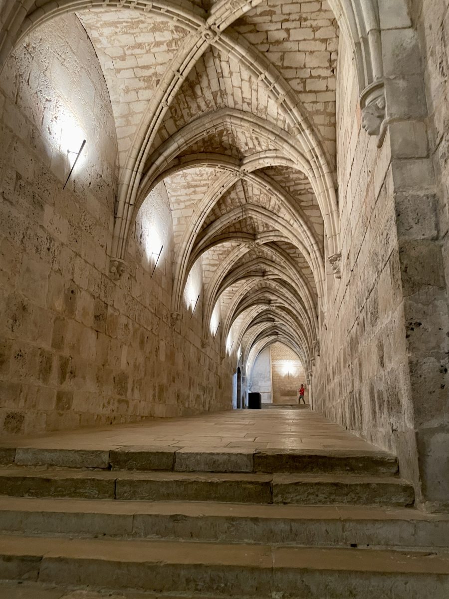 Crypte de la Cathédrale