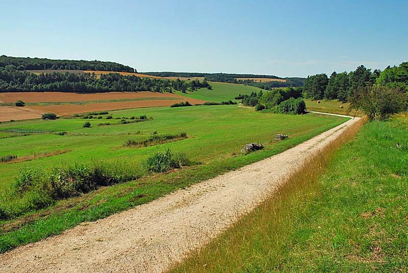 Pelouses, bois et marais de la combe Courteau et du Chanet