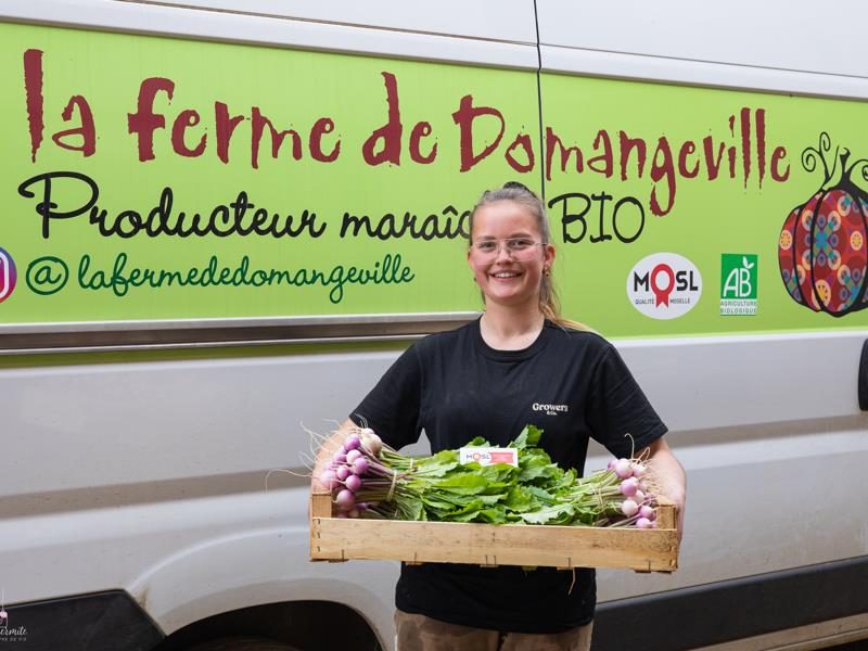 La ferme de Domangeville