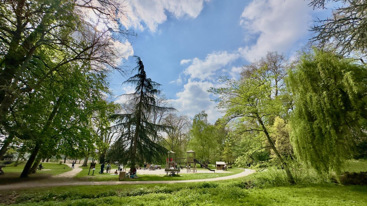 Espace naturel sensible Le bois de Chamerolles