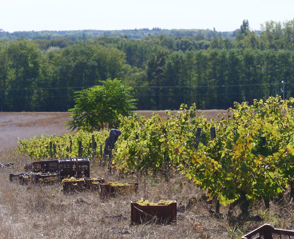 Domaine de Montoray