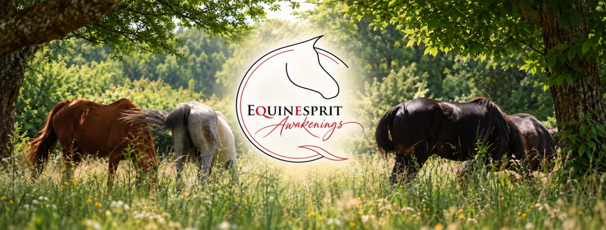 Equinesprit