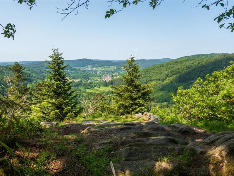 La roche de la brostille