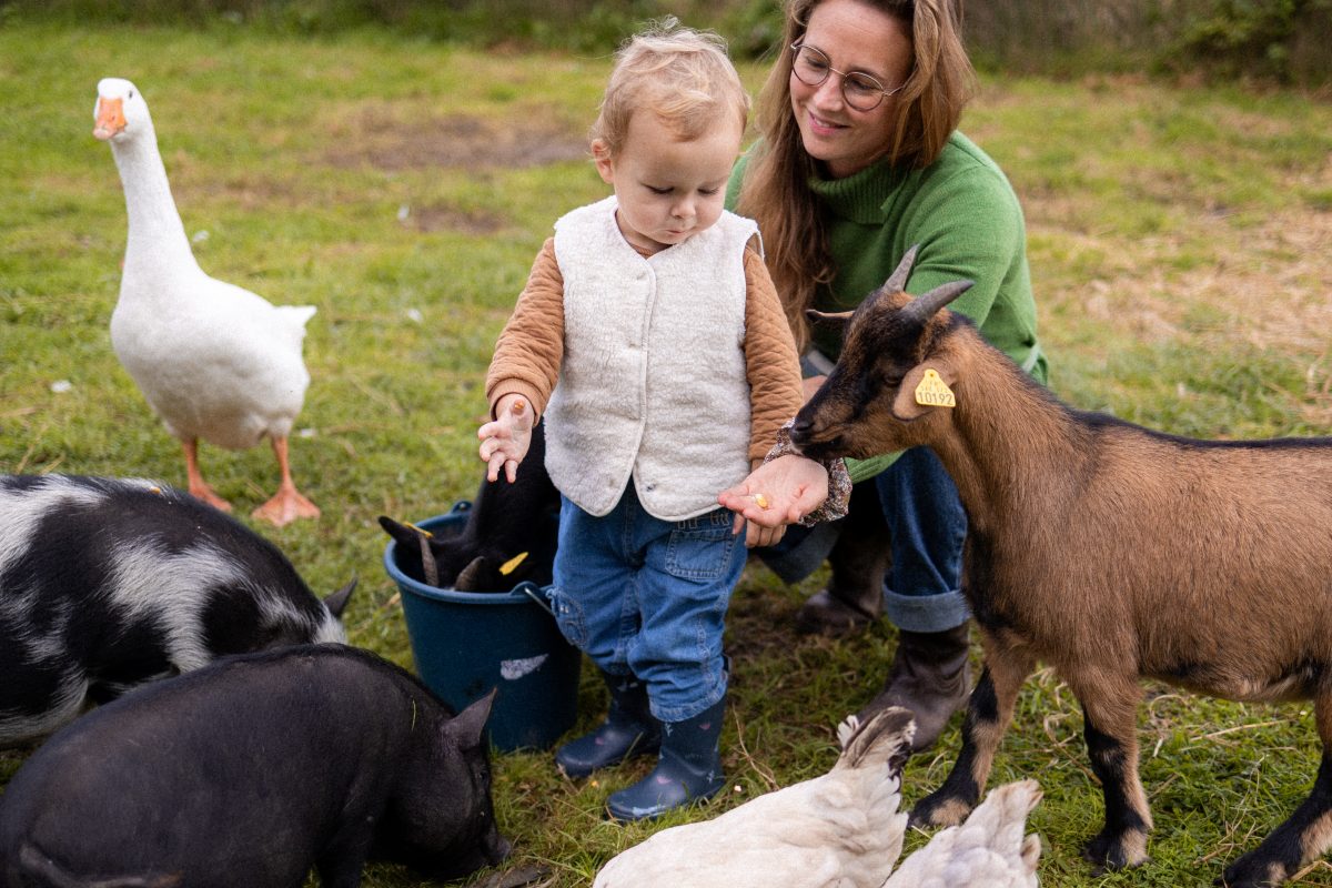 Les activités des Clés de la Ferme - Ferme pédagogique