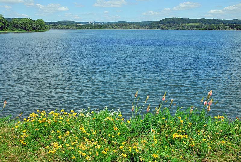 Pelouse de la digue aux orchidées