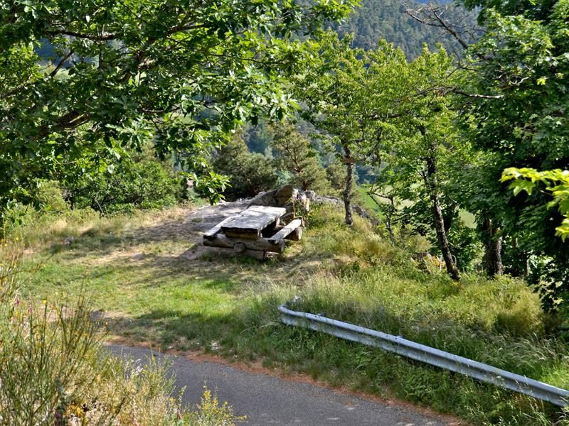 Aire de pique-nique - Col de Fréland
