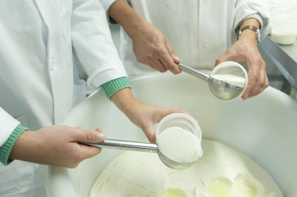 Expérience immersive (adulte) - Visitez une chèvrerie et fabriquez votre fromage