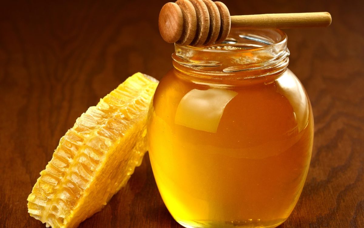Ferme apicole Harizkazuia