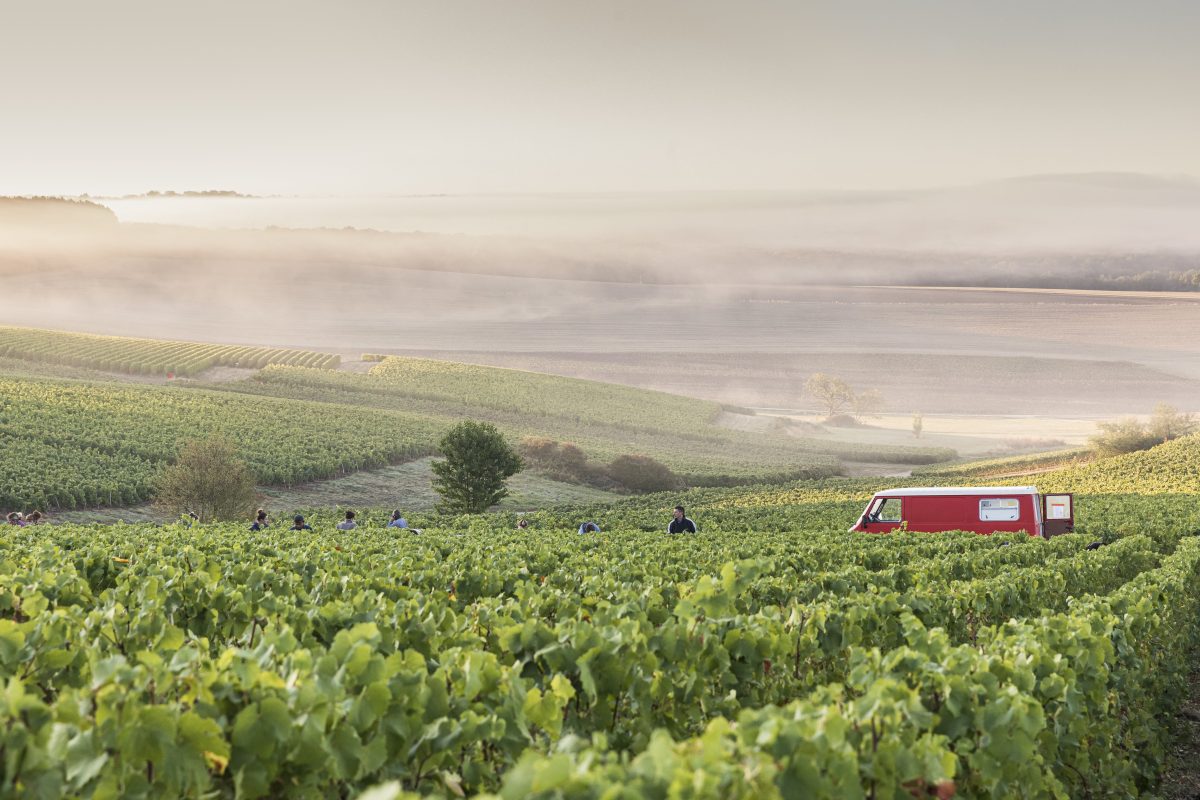 Domaine de Mondeville