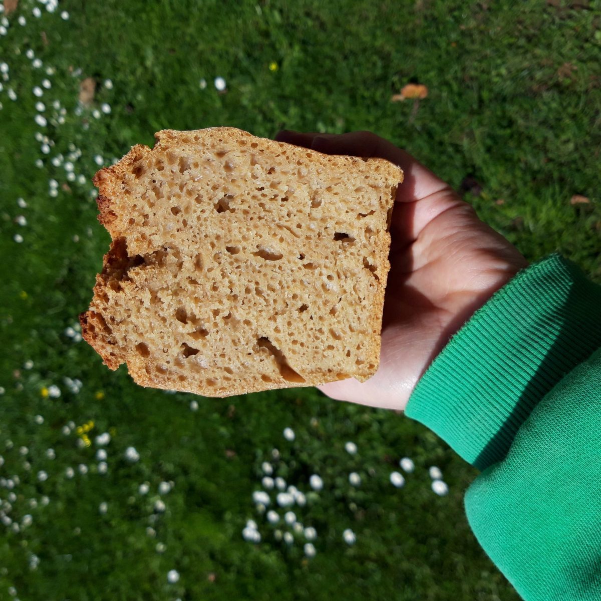 Fournil de Boisguérin