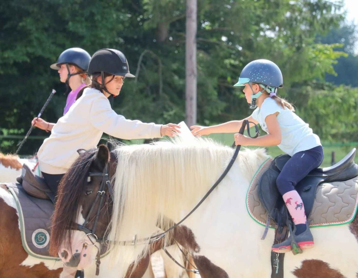 Découverte de la voltige ou de l'équitation comportementale
