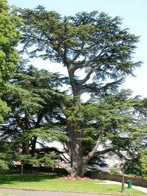 Parc du Château