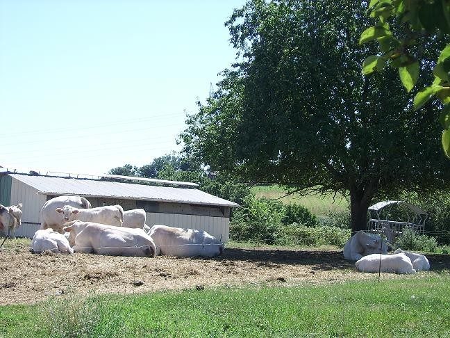 LA FERME SAINT JEAN DE LA SELVE