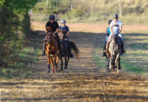 Piste de Galop