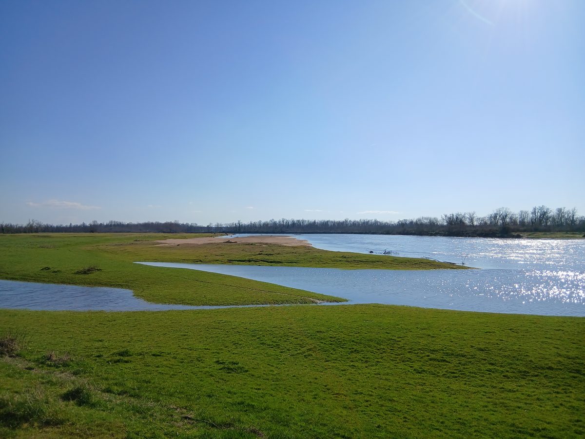 Panorama sur la Loire