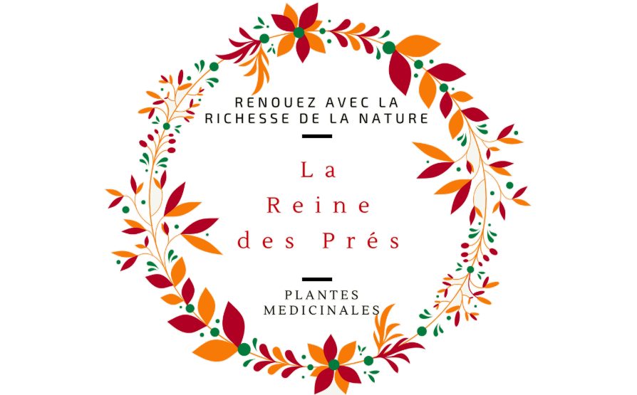 La Reine des Prés - Balade & Ateliers