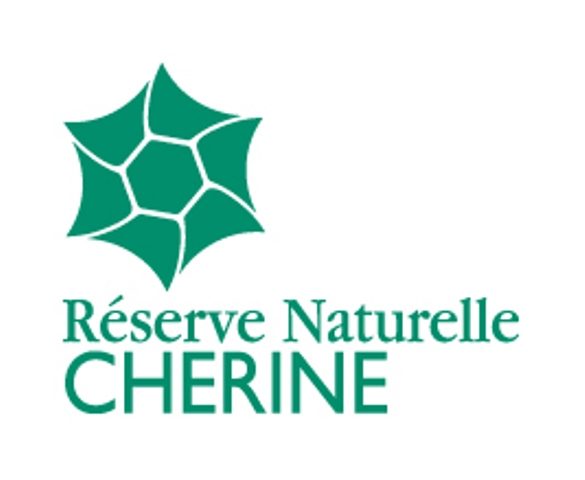 Observatoire de l'étang des Fougères (Réserve naturelle de Chérine)